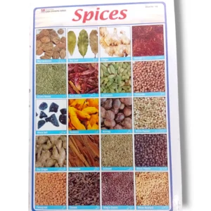 Spices chart with names and pictures for cooking and seasoning