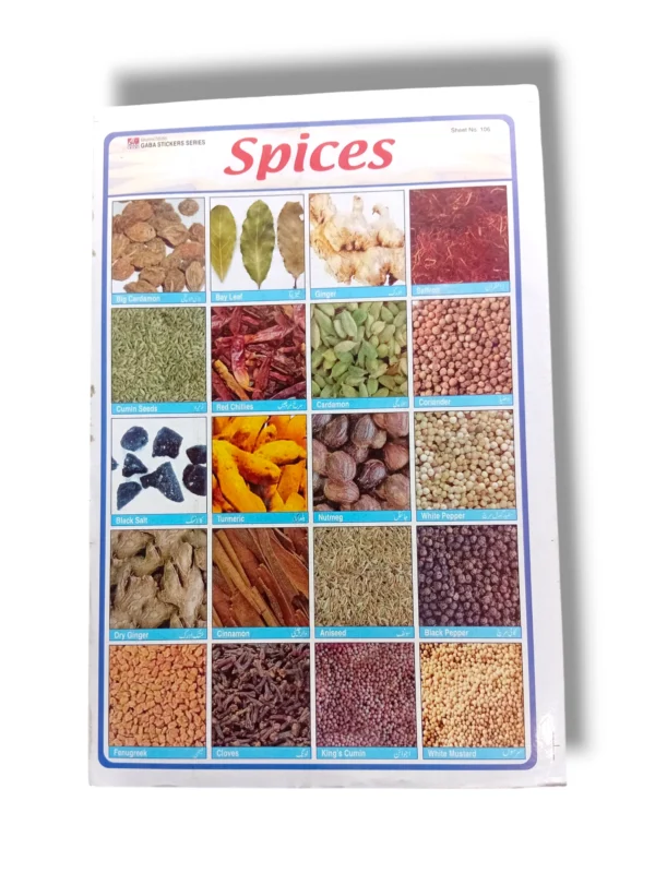 Spices chart with names and pictures for cooking and seasoning