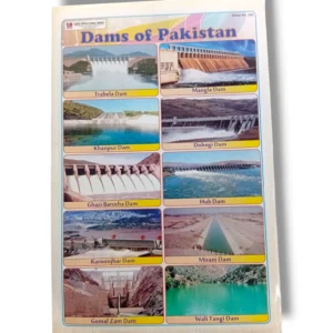 Bar chart showing the number of dams in Pakistan reaching 200.