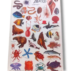 Colorful educational chart of water animals including fish