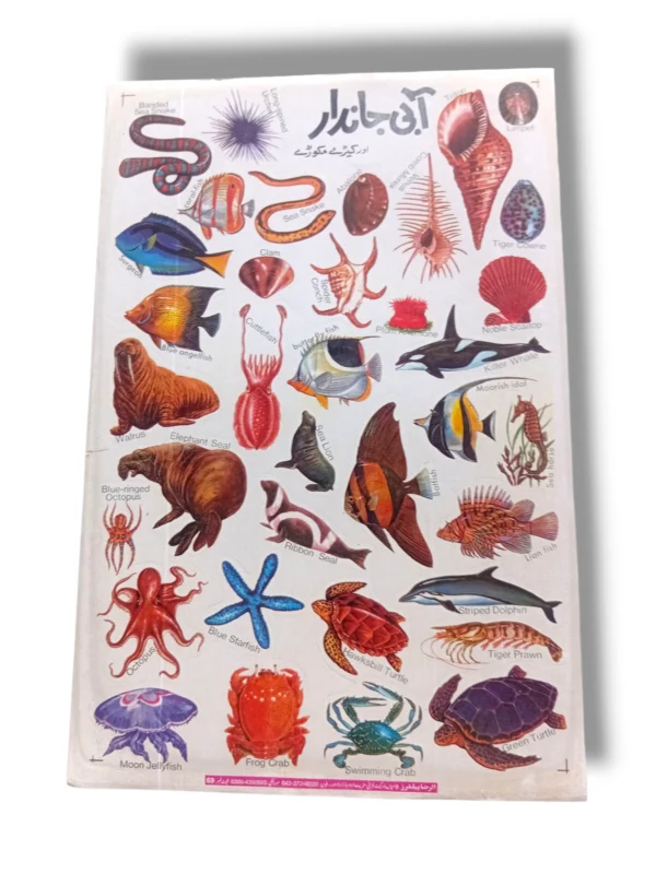Colorful educational chart of water animals including fish