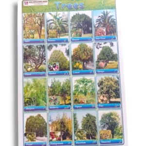 Tree species diversity chart