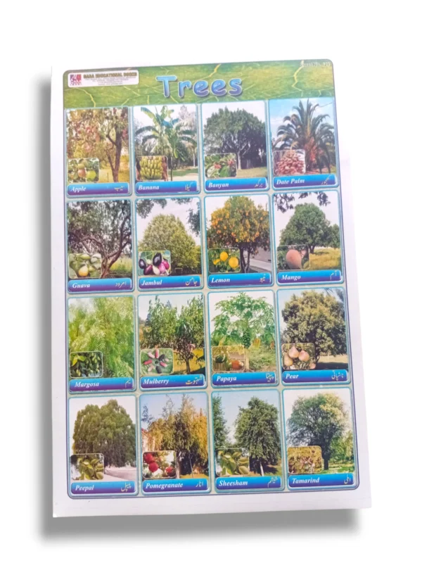 Tree species diversity chart