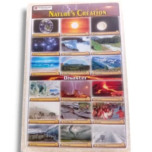 Nature's Creation Chart illustrating the interconnectedness of ecosystems