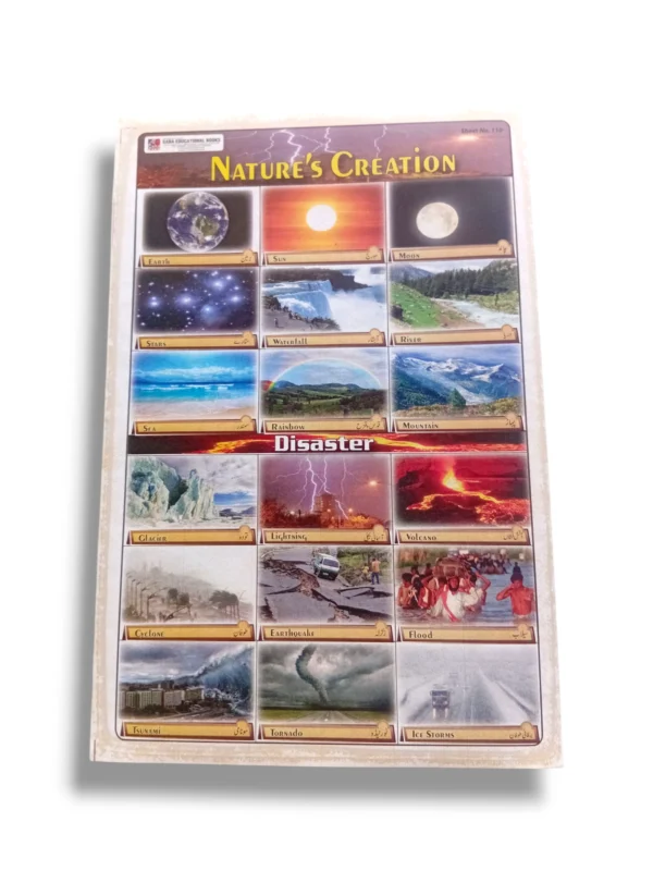 Nature's Creation Chart illustrating the interconnectedness of ecosystems