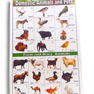 Domestic Animals and Pets Educational Chart