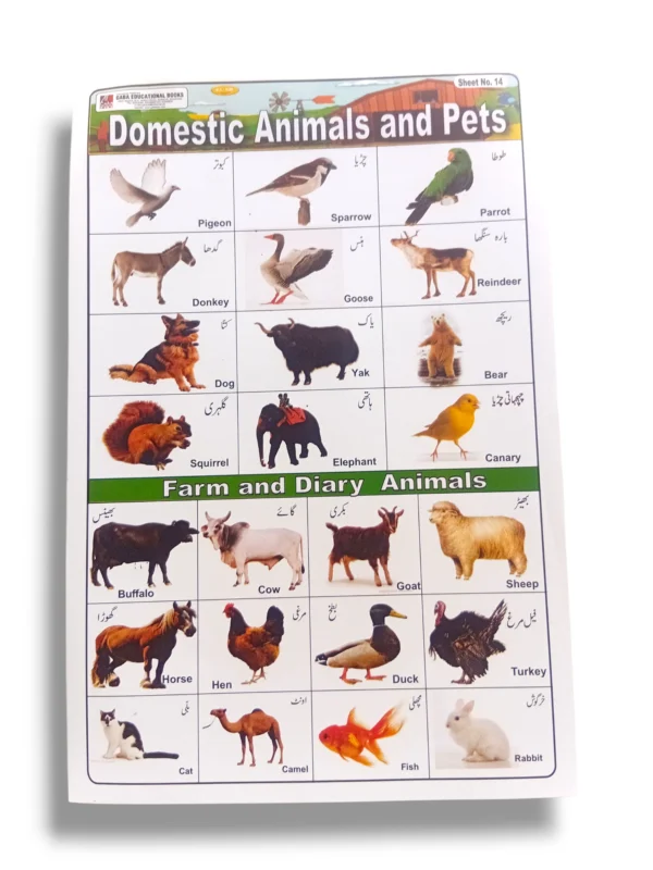Domestic Animals and Pets Educational Chart