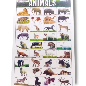 Colorful educational chart of animals with names and pictures