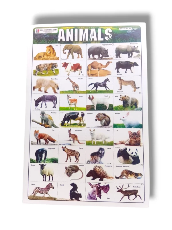 Colorful educational chart of animals with names and pictures