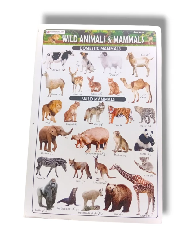 Educational chart of wild animals and mammals with names and illustrations.