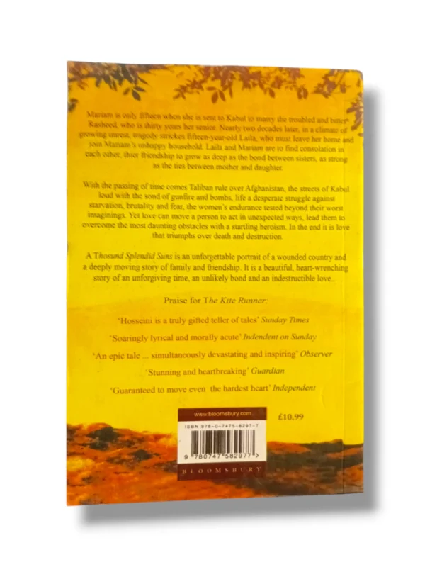 Classic novels The Kite Runner and A Thousand Splendid Suns by Khaled Hosseini.