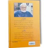 Aik Muhabbat 100 Afsane book cover