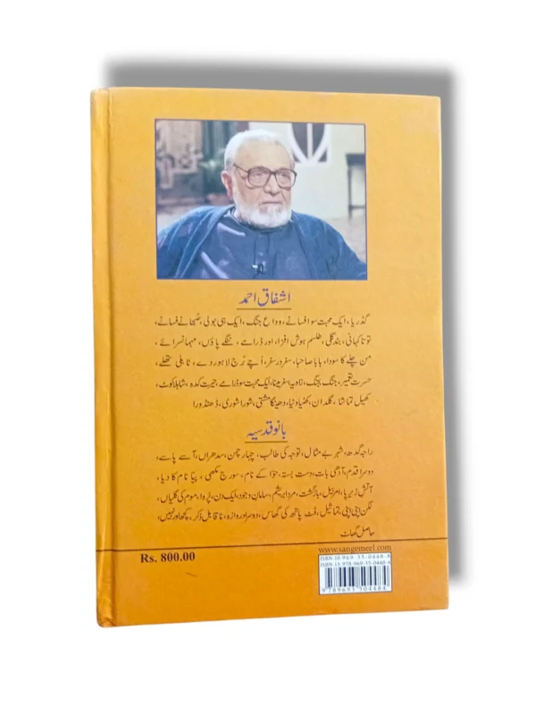 Aik Muhabbat 100 Afsane book cover