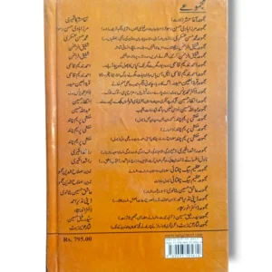 Aangan courtyard in a traditional Indian home