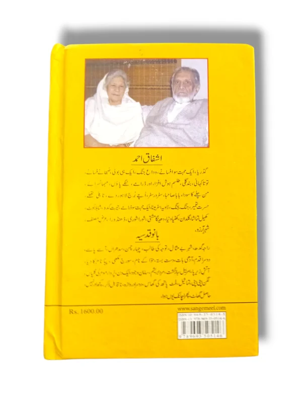 Raja Kadh historical fort entrance and architecture