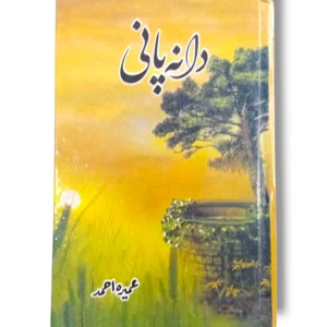 Traditional Indian Dalana Pani served in a bowl.