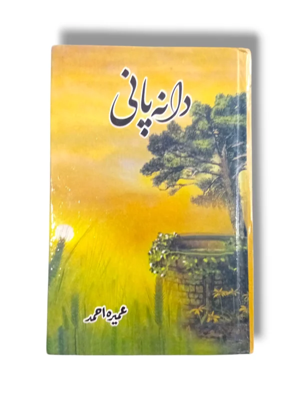 Traditional Indian Dalana Pani served in a bowl.