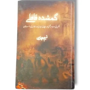 Gumshuda Qafily album cover art