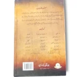 Gumshuda Qafily book cover