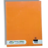 Student learning with Premier Social Studies 5 at school