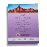 Student studying KPK Pashto 8 at home