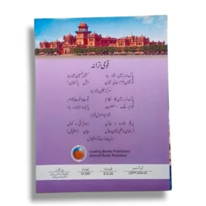 Student studying KPK Pashto 8 at home