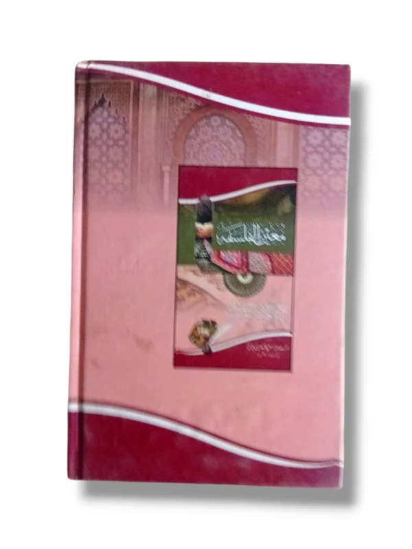 Student studying Moeen ul Falsafa Mujalid