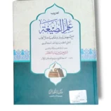 Cover of Ilm ul Segha Arbi Aala 10795